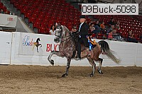09buck-5098 proof