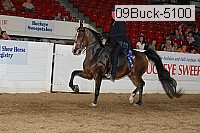 09buck-5100 proof
