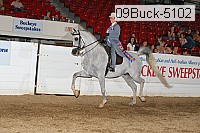 09buck-5102 proof