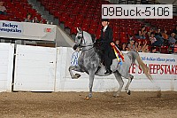 09buck-5106 proof