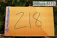 09buck-5113 proof