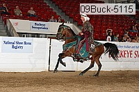 09buck-5115 proof
