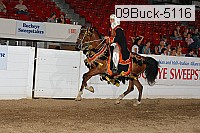 09buck-5116 proof
