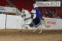 09buck-5121 proof