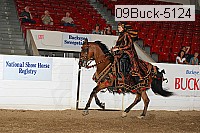 09buck-5124 proof