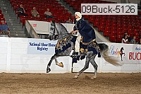 09buck-5126 proof