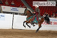 09buck-5129 proof