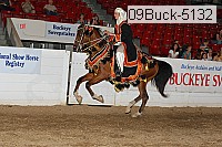 09buck-5132 proof