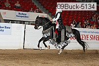 09buck-5134 proof
