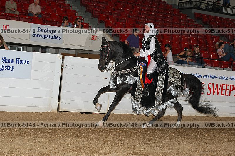 Proof 09buck-5148