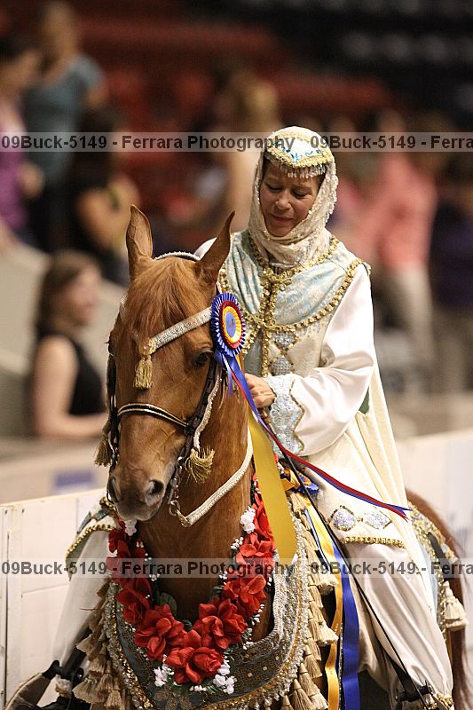 Proof 09buck-5149