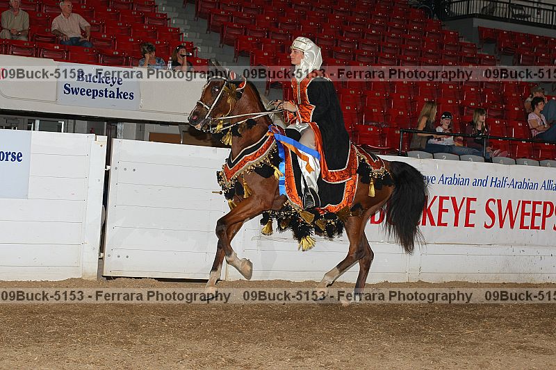 Proof 09buck-5153