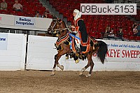 09buck-5153 proof