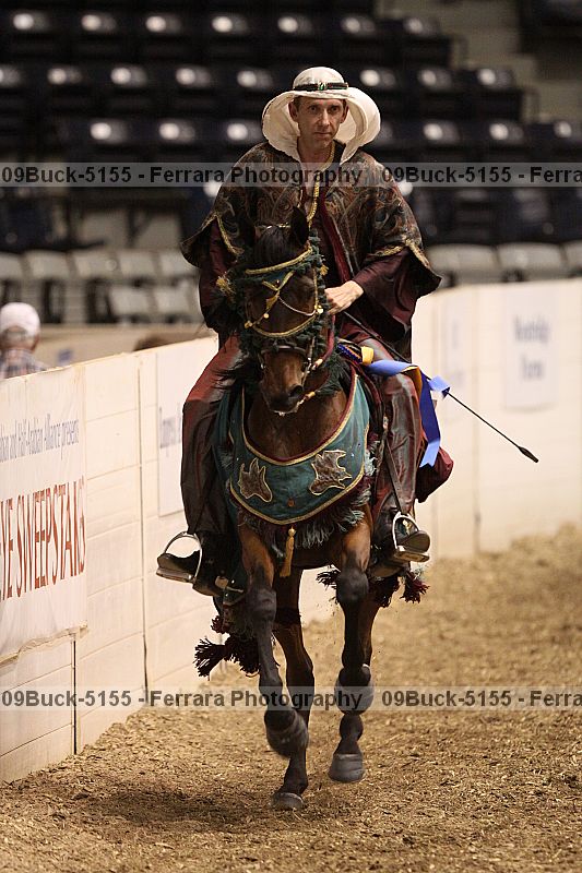 Proof 09buck-5155