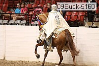 09buck-5160 proof