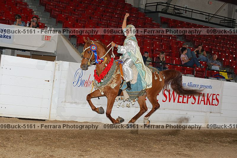 Proof 09buck-5161
