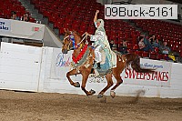 09buck-5161 proof