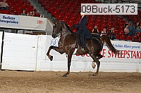 09buck-5173 proof