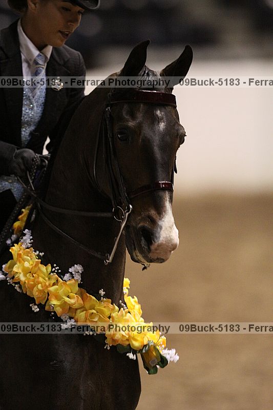 Proof 09buck-5183