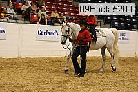 09buck-5200 proof