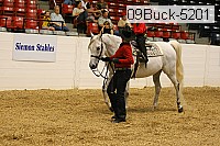 09buck-5201 proof