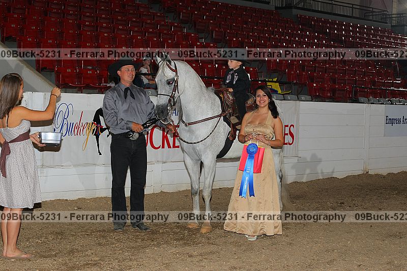 Proof 09buck-5231