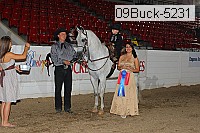 09buck-5231 proof