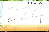 09buck-5295 proof