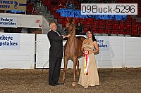 09buck-5296 proof
