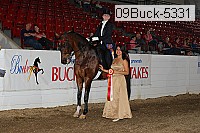 09buck-5331 proof
