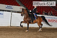 09buck-5341 proof