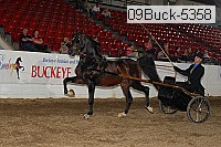 09buck-5358 proof