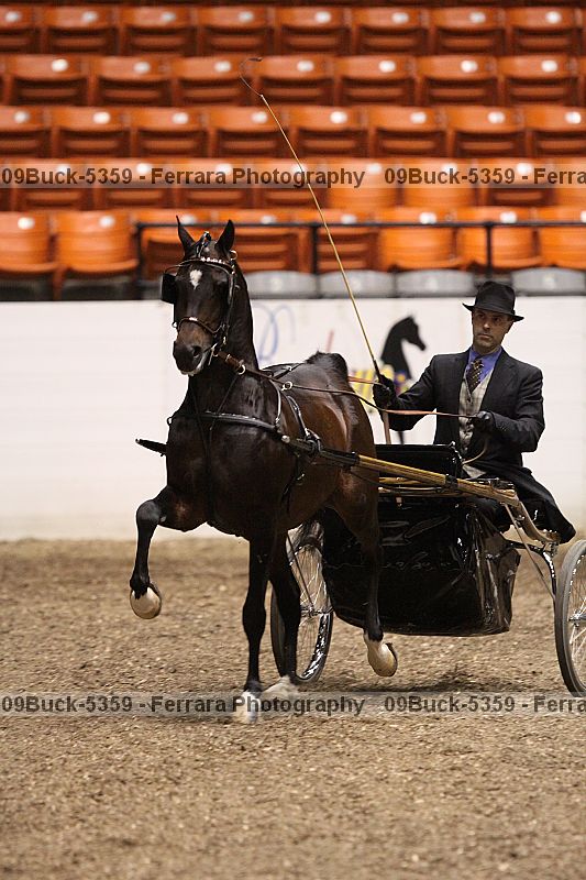 Proof 09buck-5359