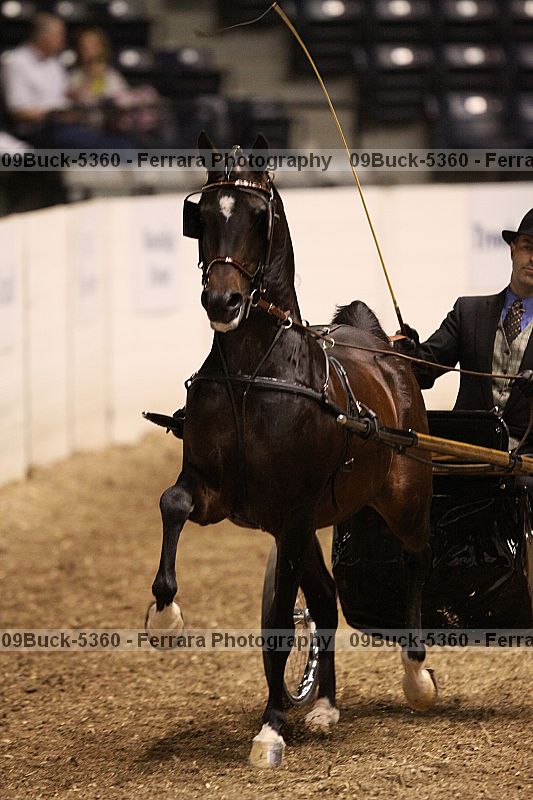 Proof 09buck-5360