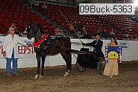 09buck-5363 proof