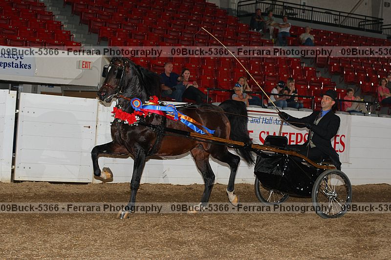 Proof 09buck-5366