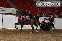 09buck-5366 proof