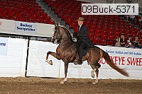 09buck-5371 proof