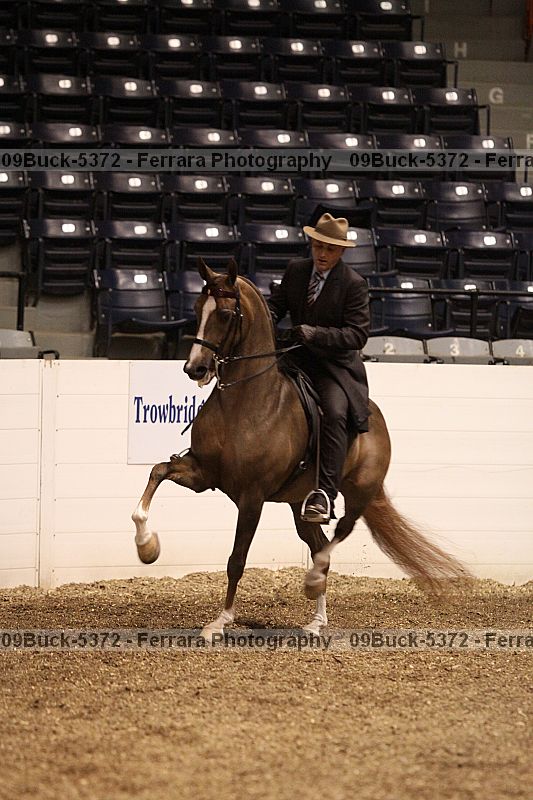 Proof 09buck-5372