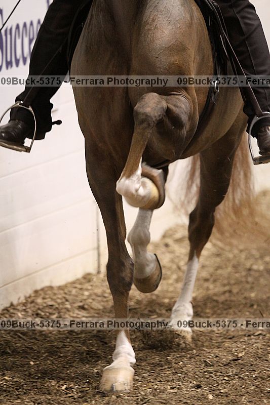 Proof 09buck-5375
