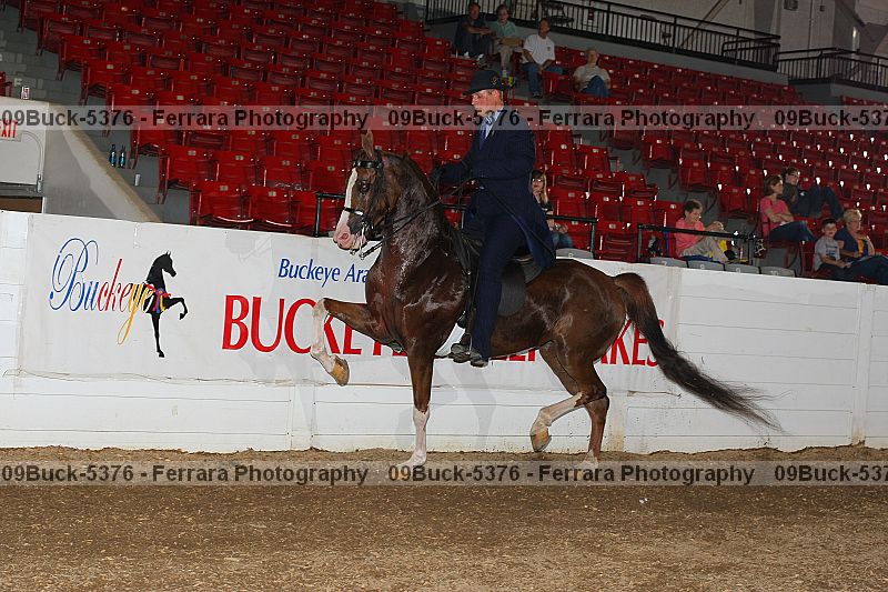 Proof 09buck-5376