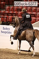09buck-5377 proof