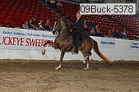 09buck-5378 proof