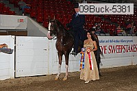 09buck-5381 proof