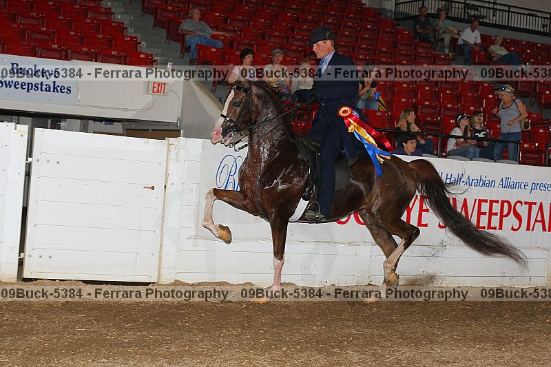 Proof 09buck-5384