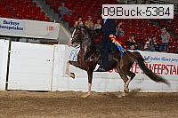 09buck-5384 proof