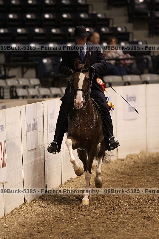 Proof 09buck-5385