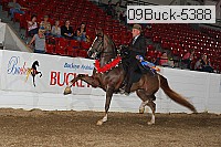 09buck-5388 proof