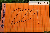 09buck-5393 proof
