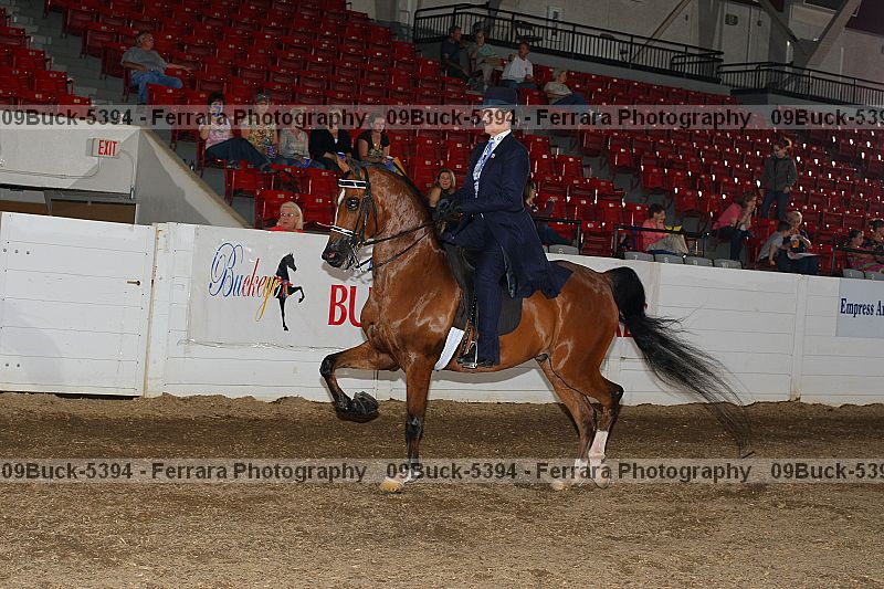 Proof 09buck-5394